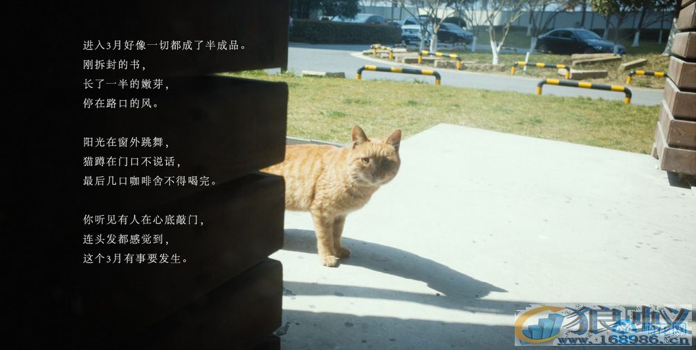 淘宝神文案让你买买买!钱没了可以再赚 淘宝神文案让你买买买!钱没了可以再赚